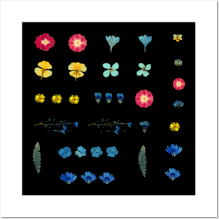 Dried colorful flowers Posters and Art